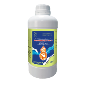 Lactobacillus phức hợp